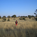 Wandern durch die Einsamkeit der Kalahari