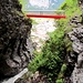 Rückblick in die feuchte Stube des Alpbaches.