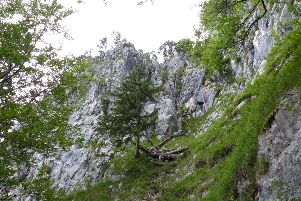 Die Landschaft hier ist wunderschön, aber die Felsen... [hikr.org]