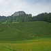 Rückblick zur Wasserwand.