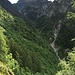 L'alta valle del Rio Fenecchio con la cima dei Casaletti sullo sfondo. Nel bosco sulla sinistra sono nascosti gli Alpi di Paiosa...