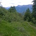 Sentiero Alpe Crocc - Alpe Davrosio.
