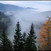Lac des Brenets im Spätherbst.