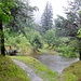 Beim Naturschutzgebiet an der Maggia.