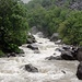 Die Bavona zur Zeit ein reissender Fluss.