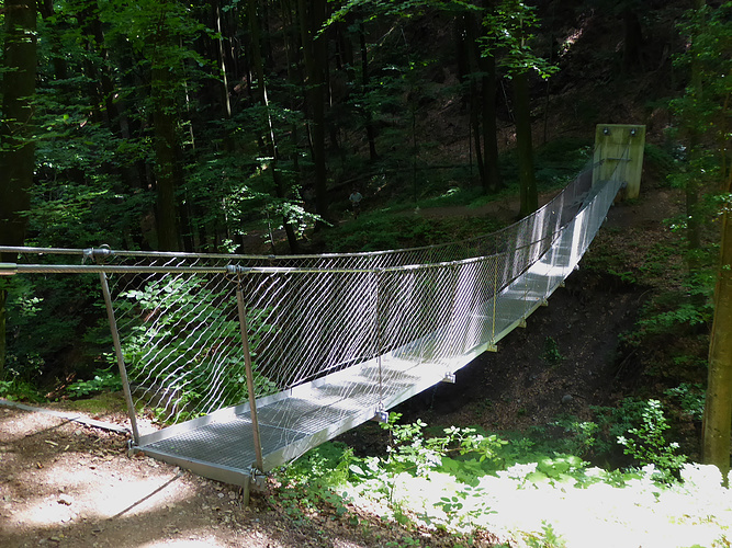die Hängebrücke ;-) - Fotos [hikr.org]