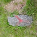 Dieser Stein liegt in der Wiese bei der Abzweigung über den Ostgrat.