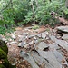 Treppenweg beim Abstieg durch den Wald nach Pian Segna.