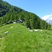 Alpe Lurino - qualche anno fa era abitata d'estate