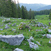 Schöne Umgebung in der Haggenegg