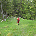 Ein wunderschöner Weg durch Wiesen und Wald...