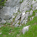 Abzweiger zum Klettergarten Schärsack