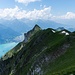 Rückblick auf Suggiture