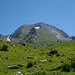 Das Gipfelziel, der Mont Charvin, taucht auf. Anstieg durch das ausgeprägte Kar, dann über den NW-Grat zum Gipfel