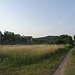 Aus dem Ort Gödrös geht es auf´s freie Feld...