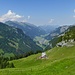 Alp Unter Saum und Blick nach Muotathal