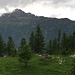 L'arrivo all'Alpe Loccia