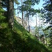 Von der "Einsattelung" aus: links im Bild die Steigspur, die zu der sonnigen Wiesenkuppe (Bildmitte) des kleinen Grats führt. Rechts die erwähnten "kleinen Felszähnchen".