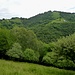 Monte Bisbino - auf dem lieblichen Grasrücken links führt der Weg