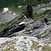 Unterhalb des Gipfelplateaus mache ich noch einmal eine längere Pause. Blick zurück über den abwechslungsreichen Südgrat.