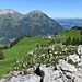Blick über Alp Obere Geerene zu Thunersee und Niesen