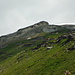 Piz Mirutta - view from elevation 2200 m.