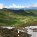 die ganze Hochebene der Alp Tamans-Hochsäss nochmal im Überblick - lieblich schön