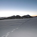 Sonnenaufgang auf dem Hohbalmgletscher