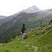 Alpe Vallè di sotto