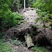 Sogar Felsen sind auf dem Weg zur Kobesenmüli zu sehen