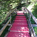 auf dem Weg zur Alp Biglen, hier hat man einen roten Teppich ausgelegt