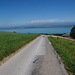 In der Abfahrt zum Lac de Neuchâtel
