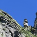 ..Gendarme alla bocchetta
