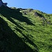 Pointe de la Videman (2165m): Westseitig stieg ich durch Gras direkt dem Gipfel entgegen.