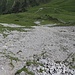 Herrliches Geröllsurfen erleichterte den Abstieg zur Alp Gumm.