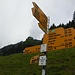 Wegweiser Bildbrugg