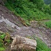 Der Weg ist etwas abgerutscht nach der Bildbrugg