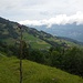 Bei Egg blicken wir hinüber zum Flumserberg