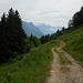 Es geht durch lichten Wald, im Hintergrund der Gonzen