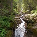 Der wilde Röllbach wird überquert