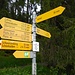 Wegweiser Chapfensee