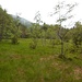 Am Rande des Chapfensees