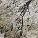 Bohrhaken gibt es mehrere im Mittleren Kraxenbachtal