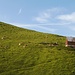 Plumsjochhütte.