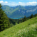 Tief unten der Walensee