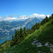 Aussichtsreich führt der Weg hinab zum Stäfeli
