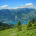 Tiefblick vom Pfandliboden zum Walensee