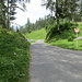 am Ende der Weide dann zunächst nach rechts auf dieser wenig befahrenen Strasse Richtung Glarus