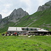 Mensch und Tier auf der Altenalp