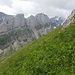 Wild vs. Mild im Alpstein